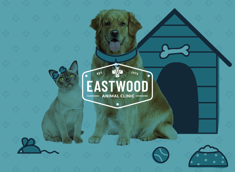 Eastwood Animal Clinic