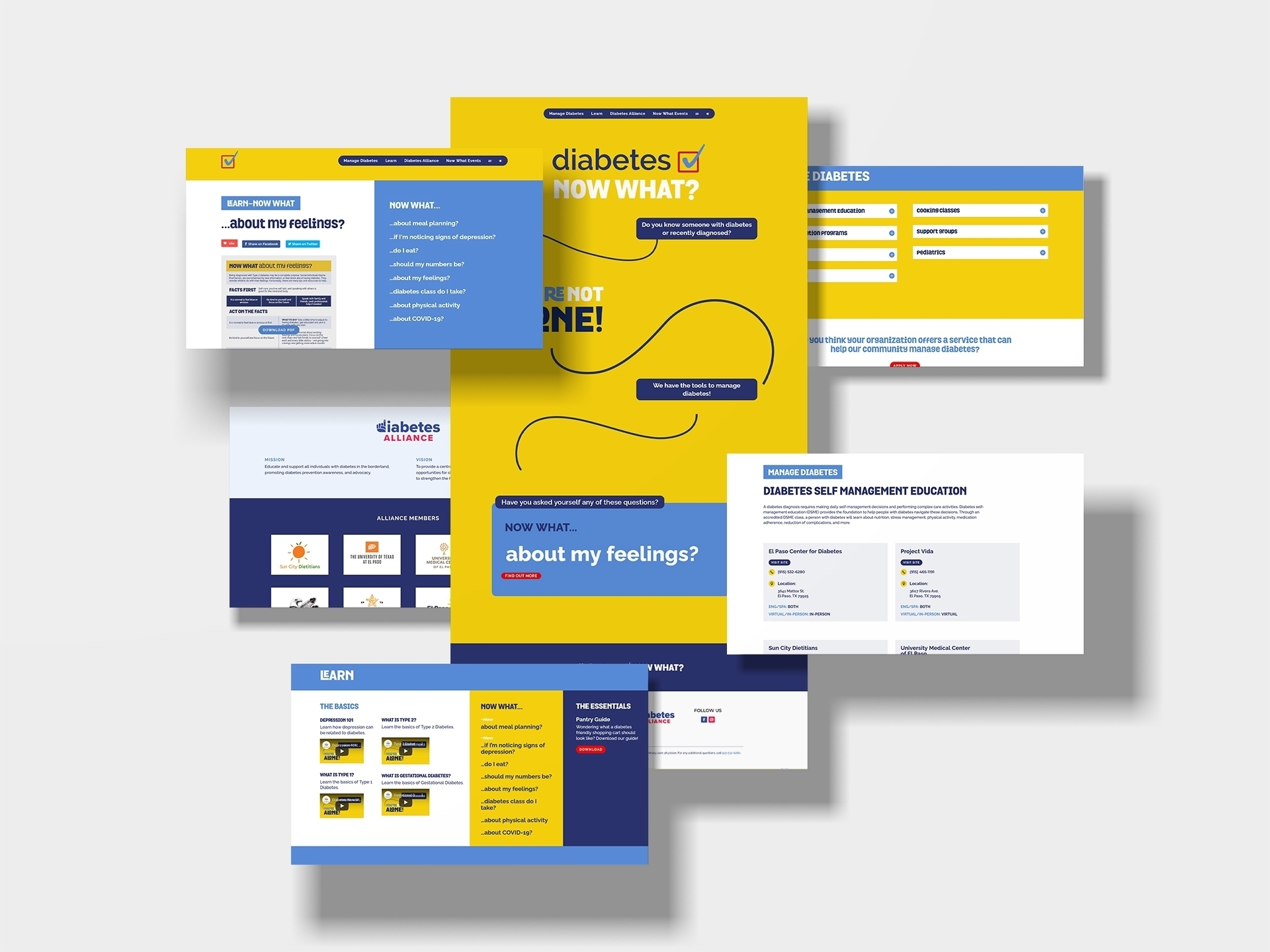 NowWhat_website_mockup Desktop